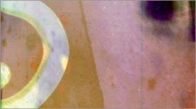 lucavisualfx.com