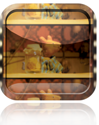 Sprocket Slip